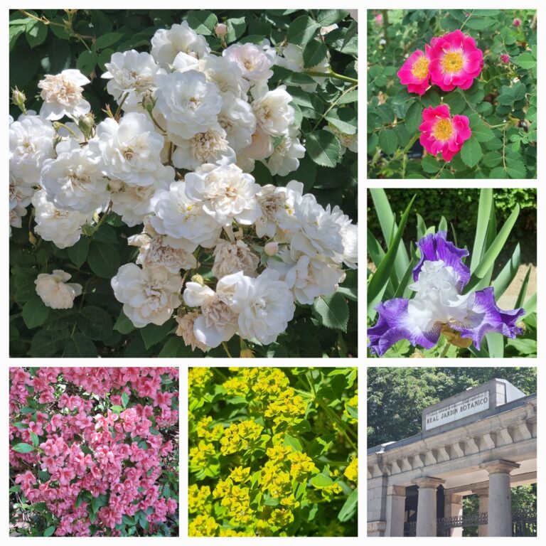 Jardin Botanique