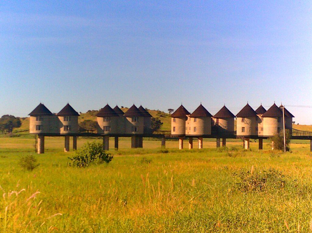 Salt Lick Lodge